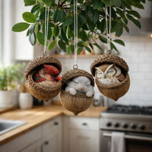 Carica l'immagine nel visualizzatore di Gallery, Amici del bosco addormentati - Incantevoli decorazioni naturali per la casa e il giardino