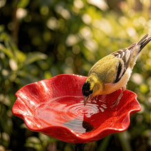 Carica l'immagine nel visualizzatore di Gallery, Fiori per uccelli - Abbeveratoio per uccelli a forma di fiore | Set da 2