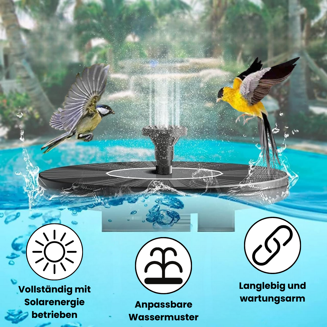Fontana per uccelli artigianale di alta qualità